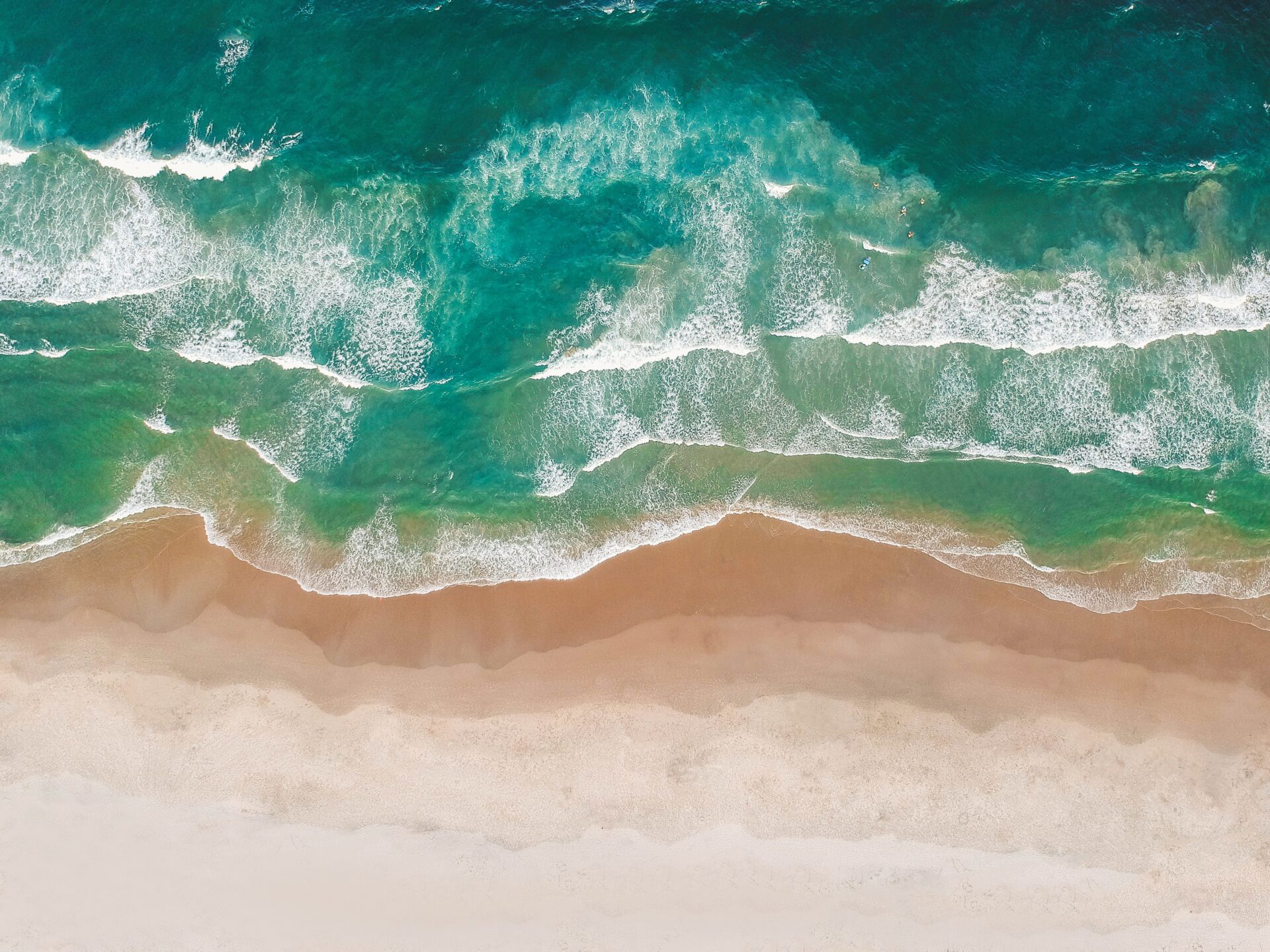 pexels-matheus-cenali-3545385