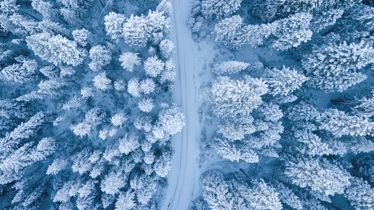 pexels-photo-1438761
