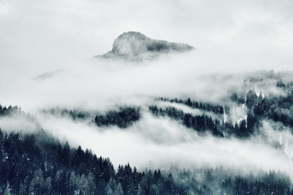 pexels-photo-994883