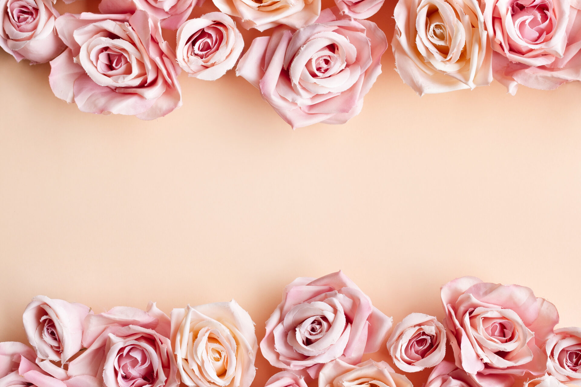 border-of-beautiful-fresh-sweet-pink-rose-isolated-on-beige-background