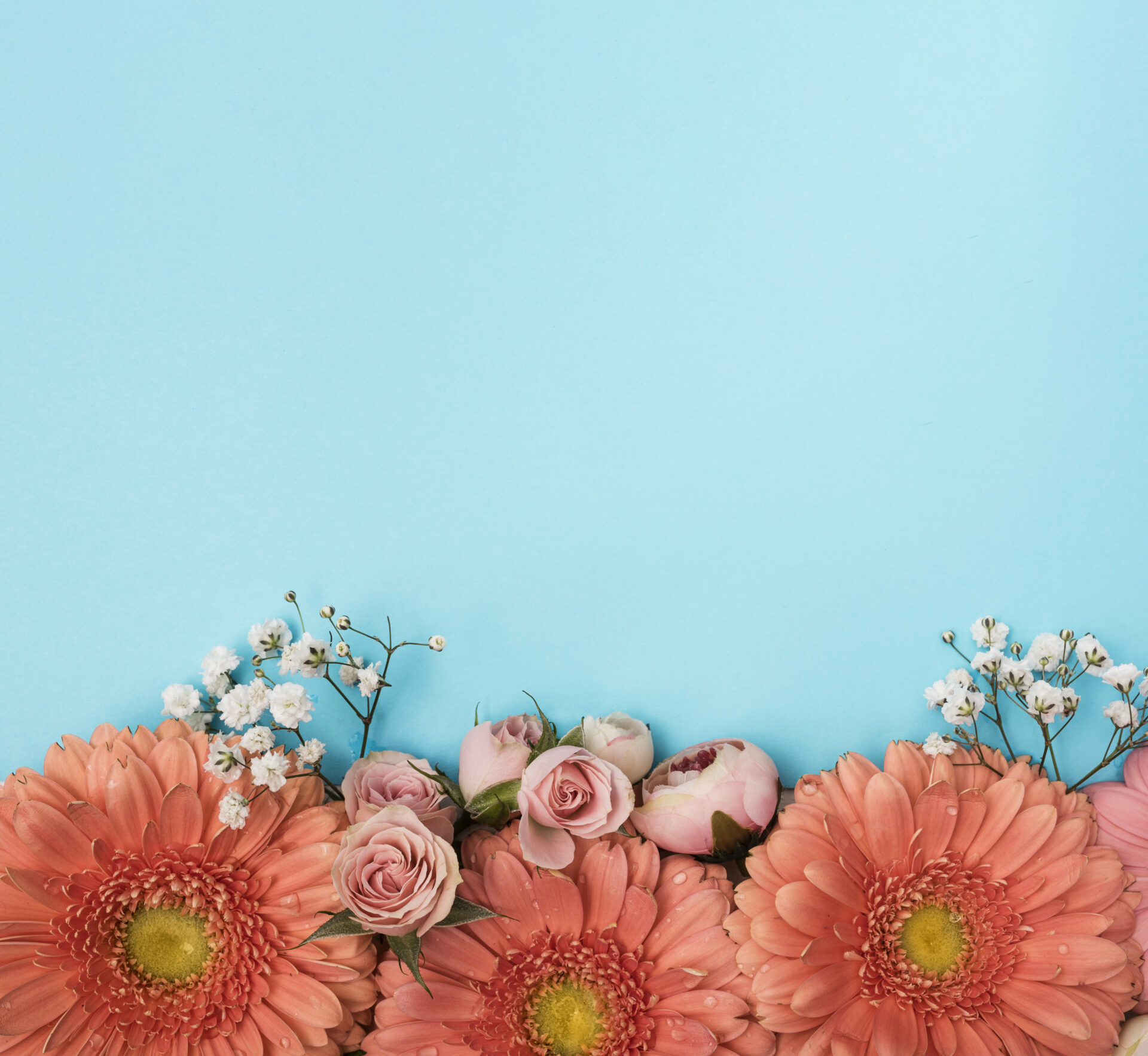copy-space-spring-gerbera-flowers