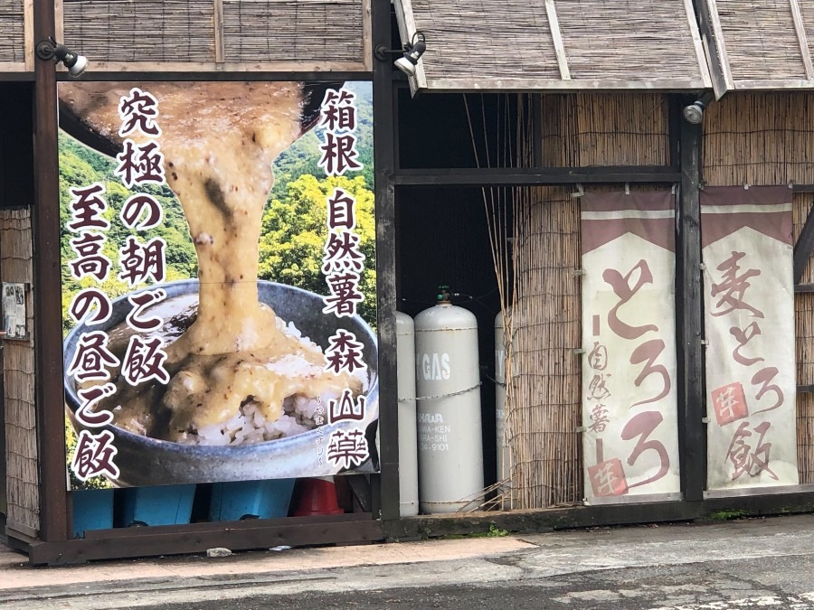 箱根の朝ごはんは自然薯「究極の朝ご飯」