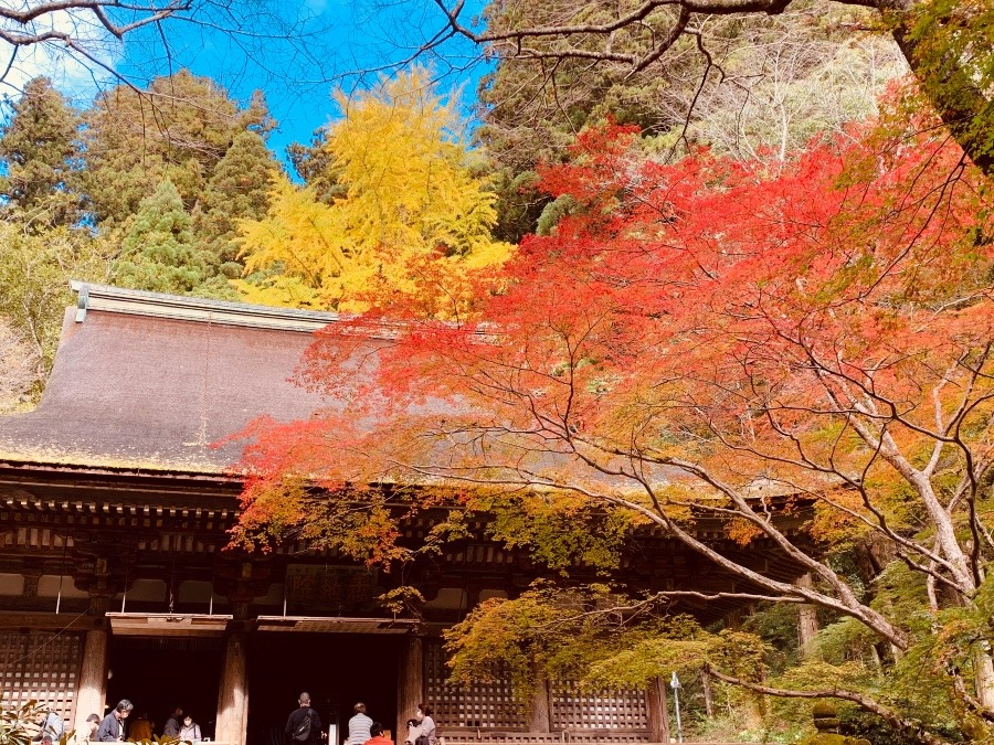 女人高野、室生寺