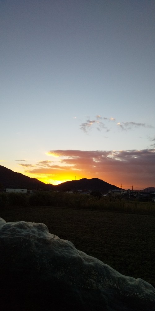 朝の空