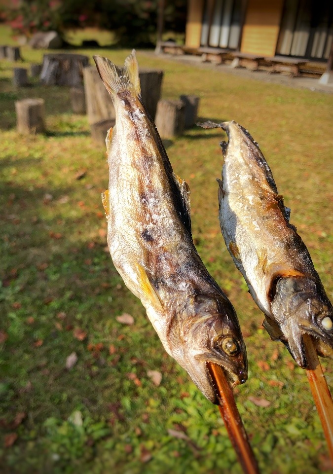 最高だね♪