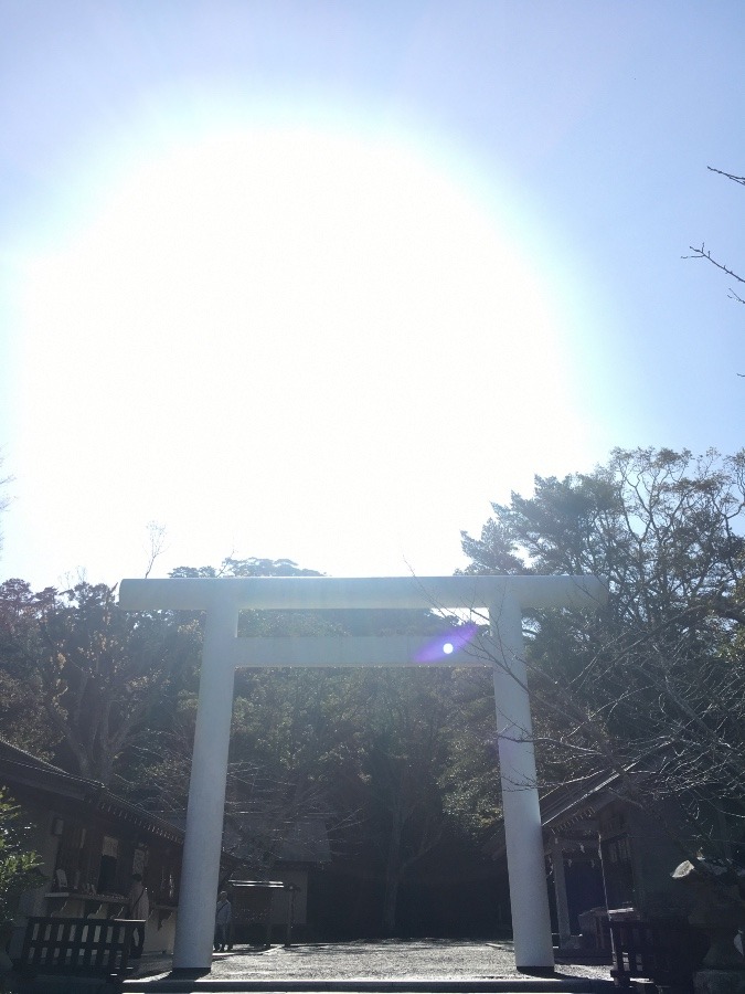 日本3大金運神社の安房神社