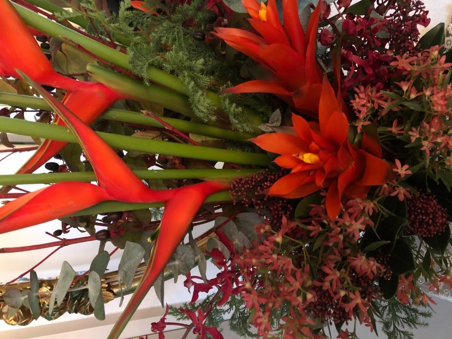 今週のお店の花🌺