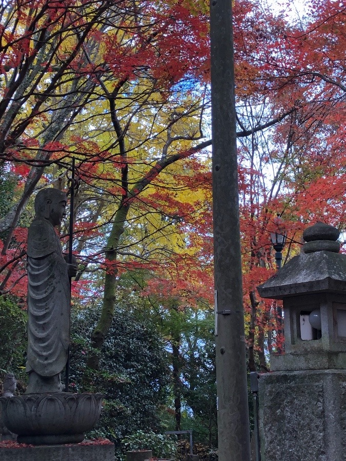 市内にあるお寺の紅葉祭りに行って来ました