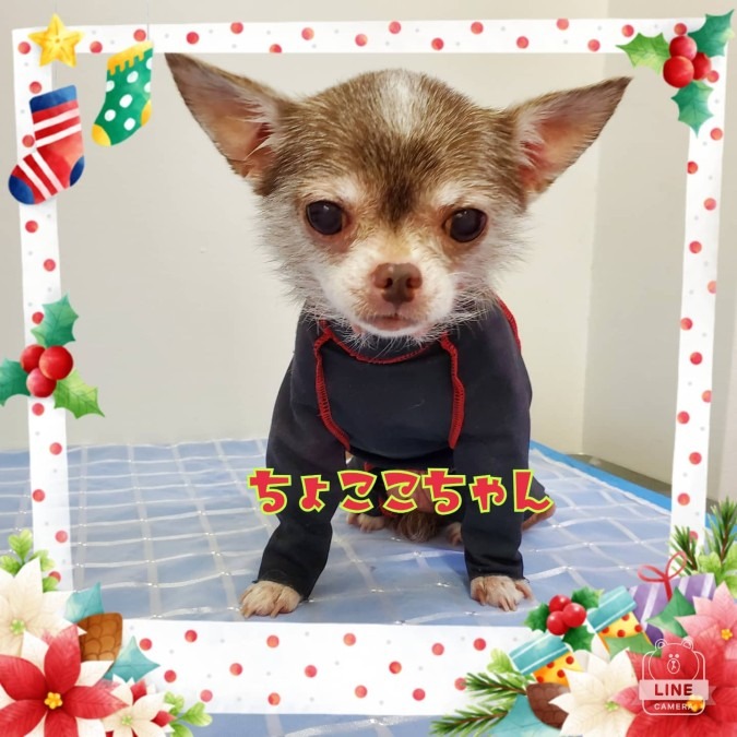 ウェットスーツじゃないよ😁