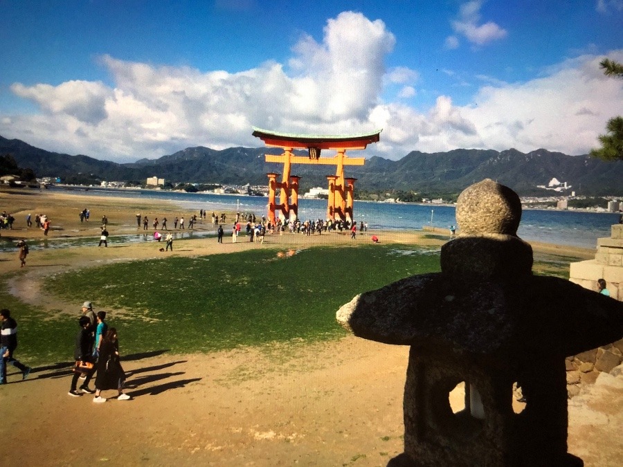 安芸の宮島　大鳥居その5