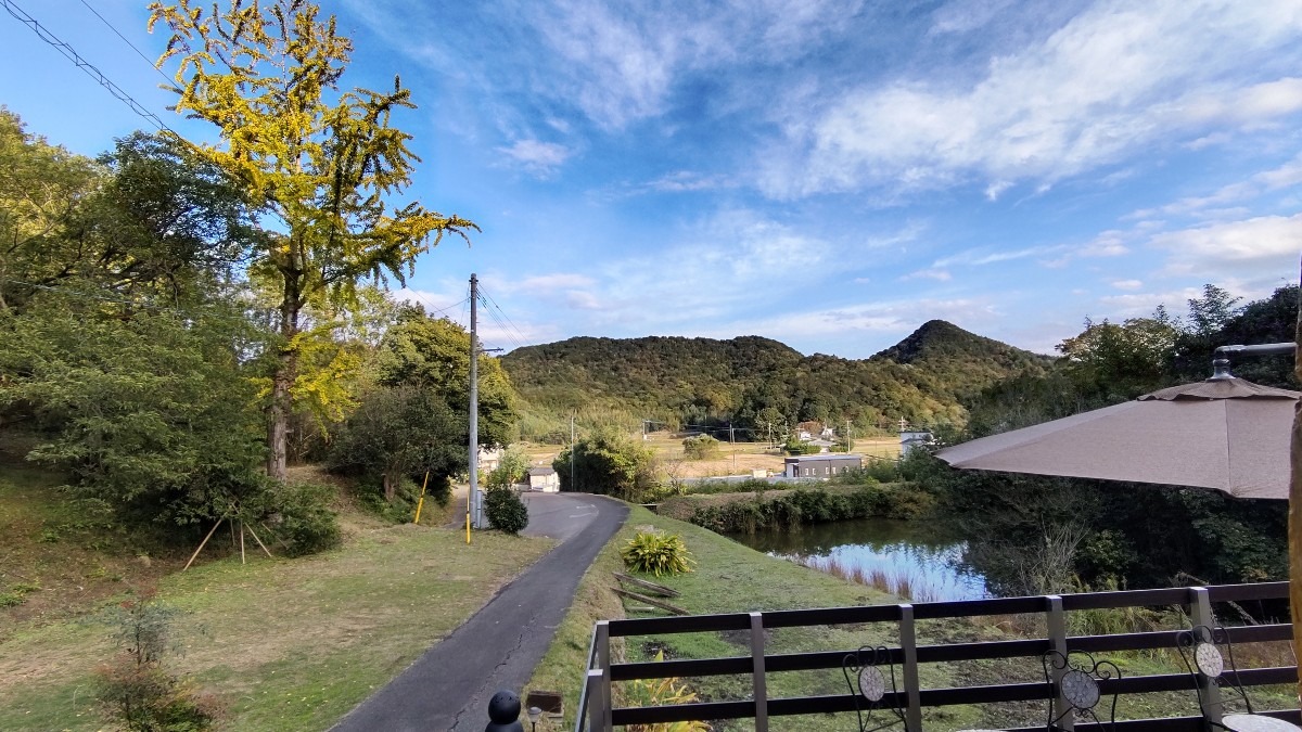 田舎カフェ樹樹から色づく銀杏