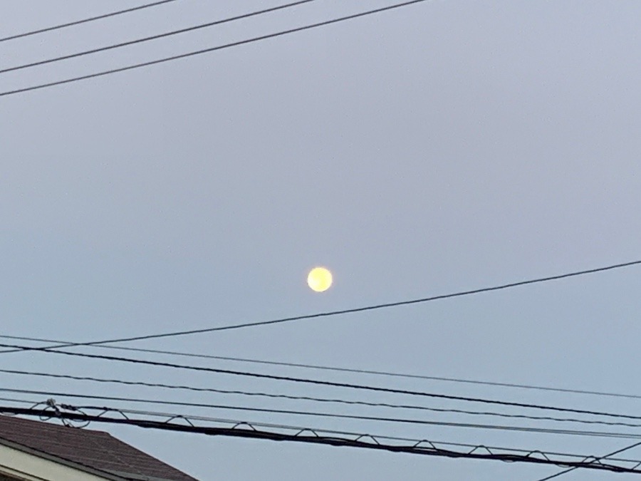 朝方の月