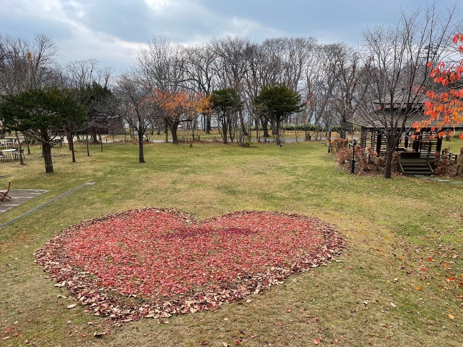 落葉を集めてハート❤️LOVE💕