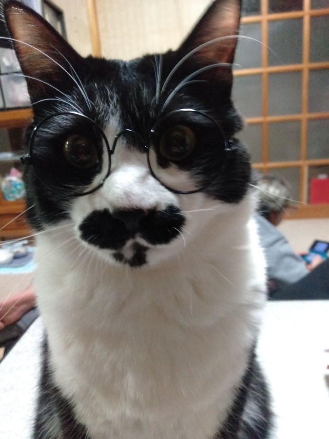 わしになにか？