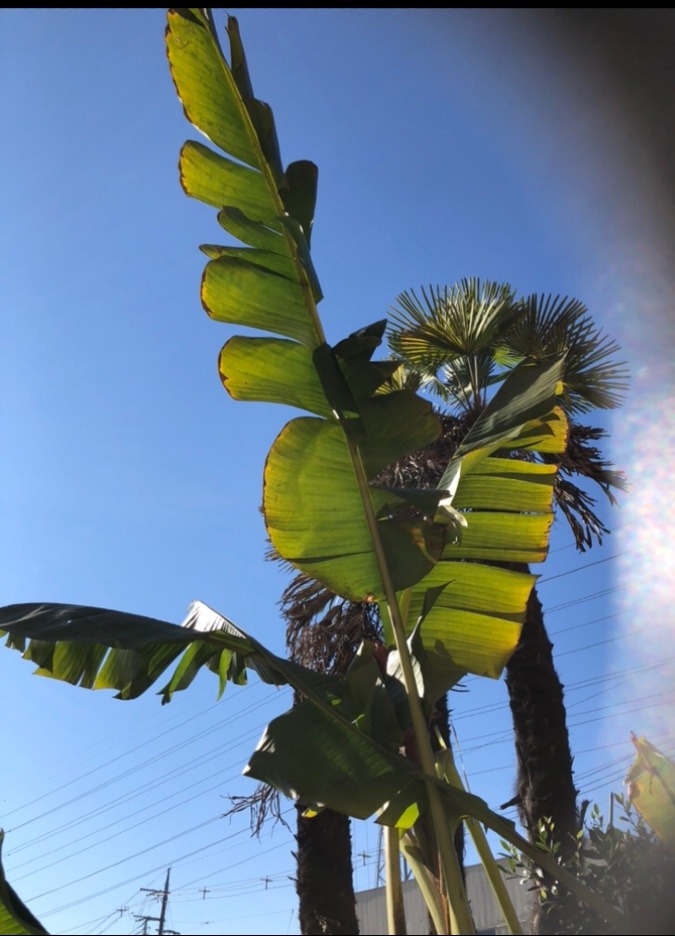 お天気も良いしっ(^_^)