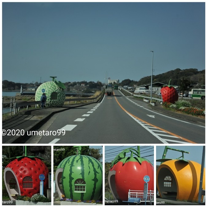 わくわくな国道２０７号線 🍈🍊🍓🍅🍉