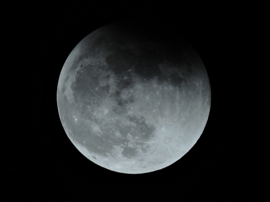 11月満月の月食写真撮りました！