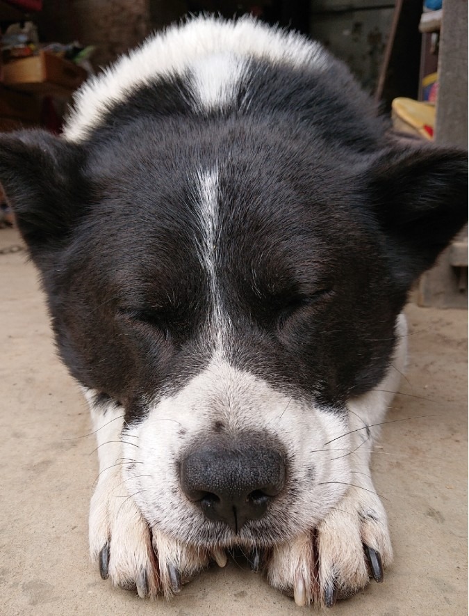 朝から眠い😪