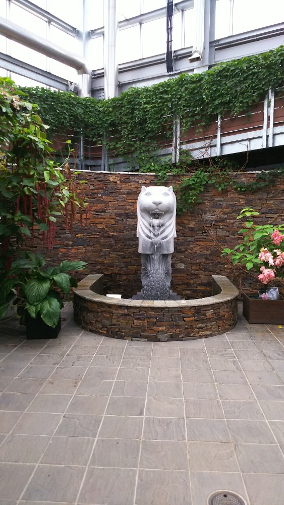 地元PR    県立青島亜熱帯植物園