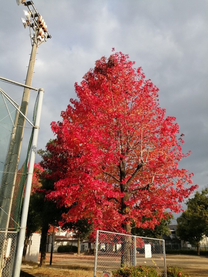 散歩の途中で