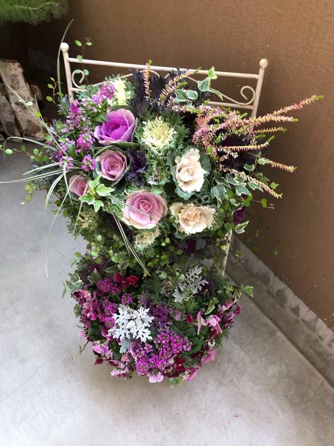 お店の玄関の模様替え　寄せ植えにしてみました