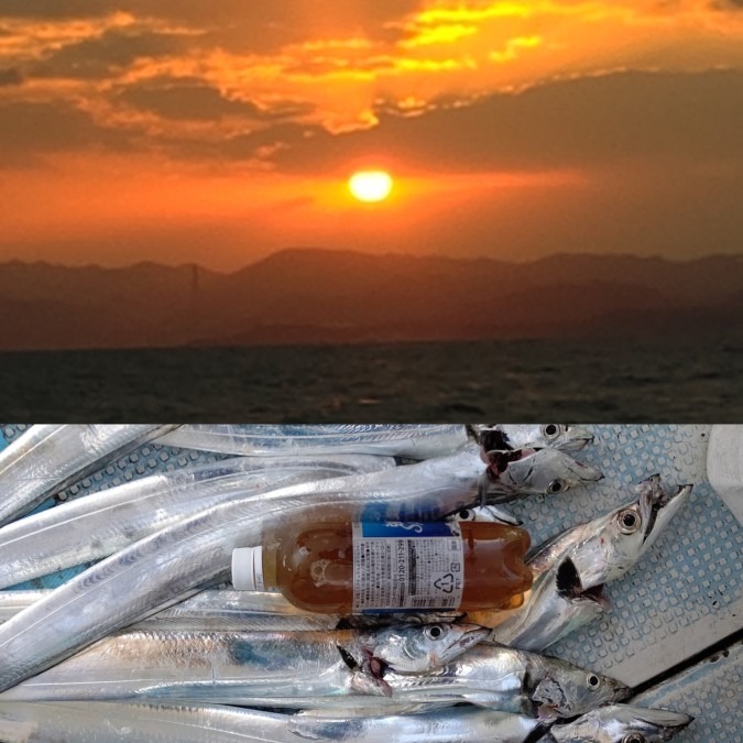朝から船釣