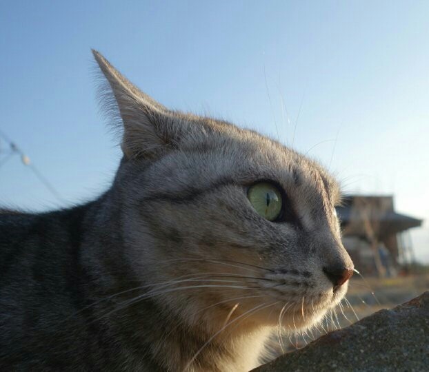 目は前、耳は後ろ、抜かり無いね