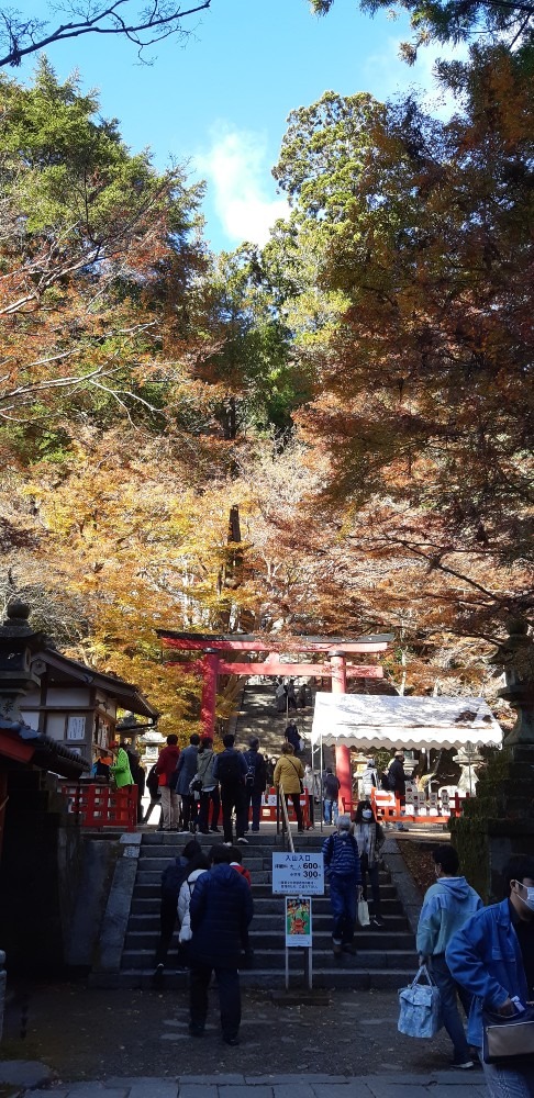 談山神社　紅葉🍁