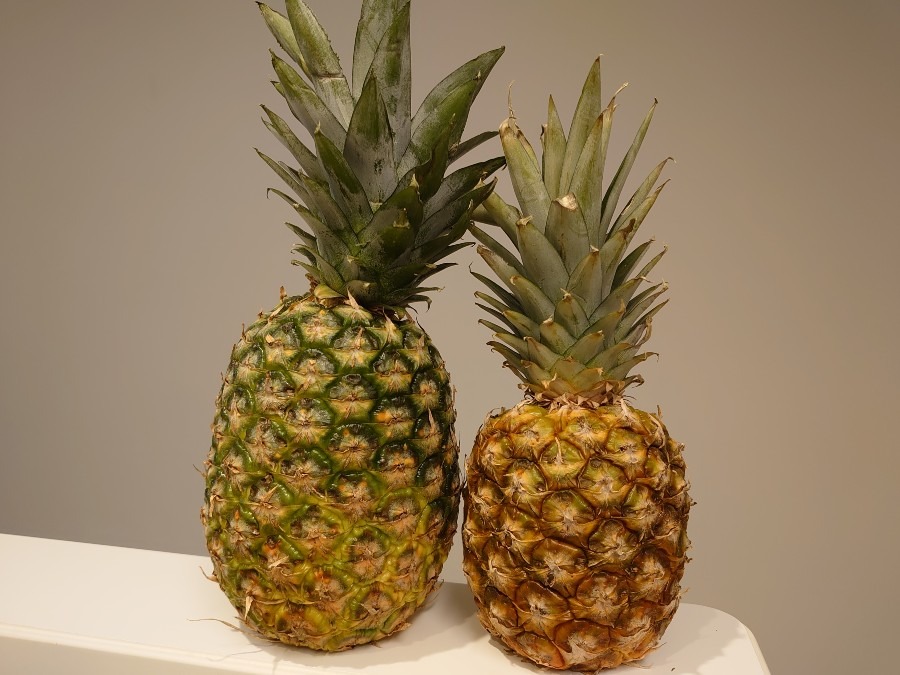 🍍同じ値段🍍