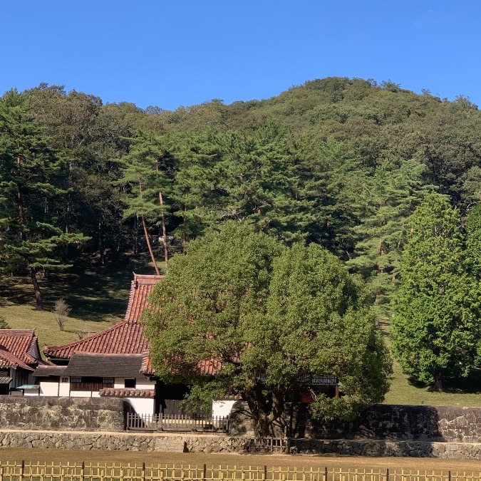 ♡私の町♡日本遺産　旧閑谷学校