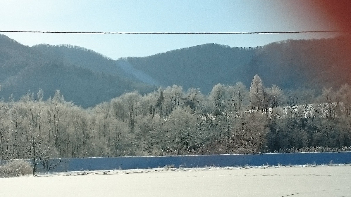 もう直ぐかな〜⛄️