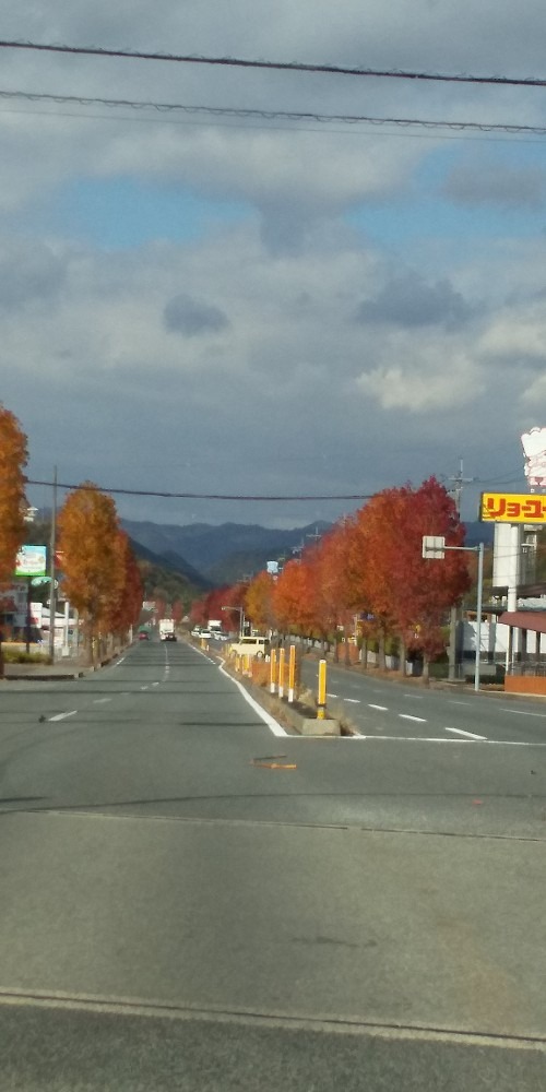 車中からの一枚