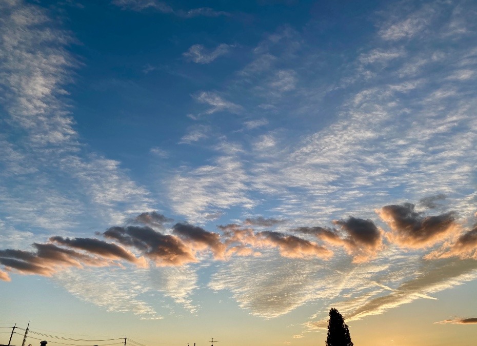 クロワッサンみたいな雲