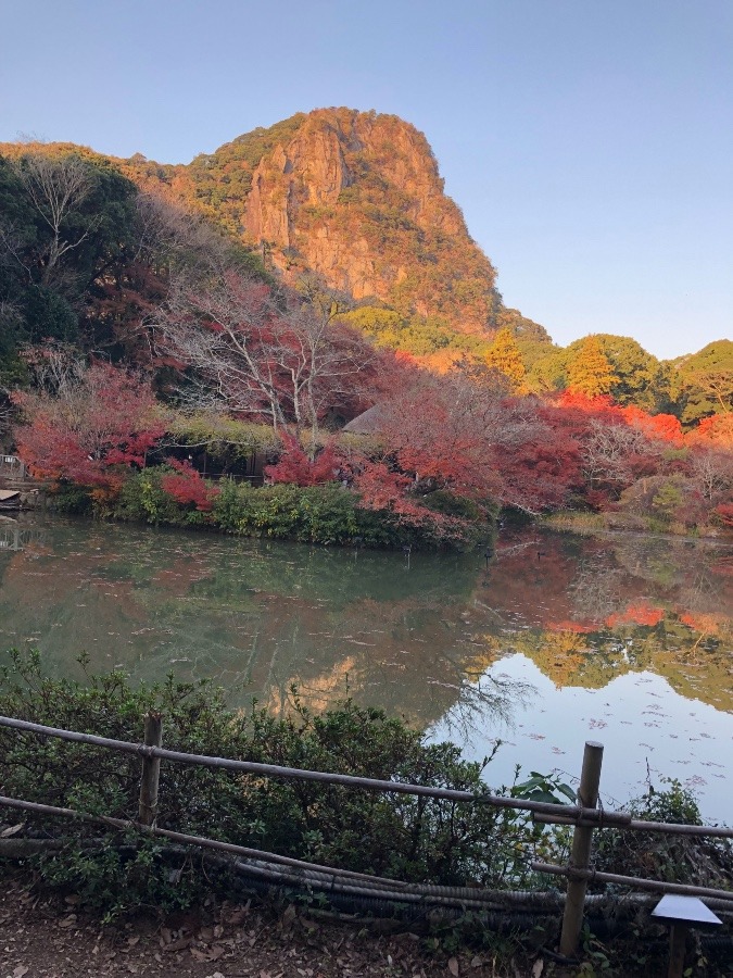 ☆／20 御船山楽園