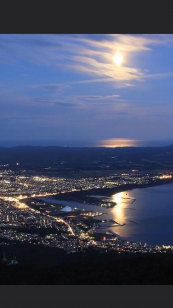 アゲハチョウ夜景✨