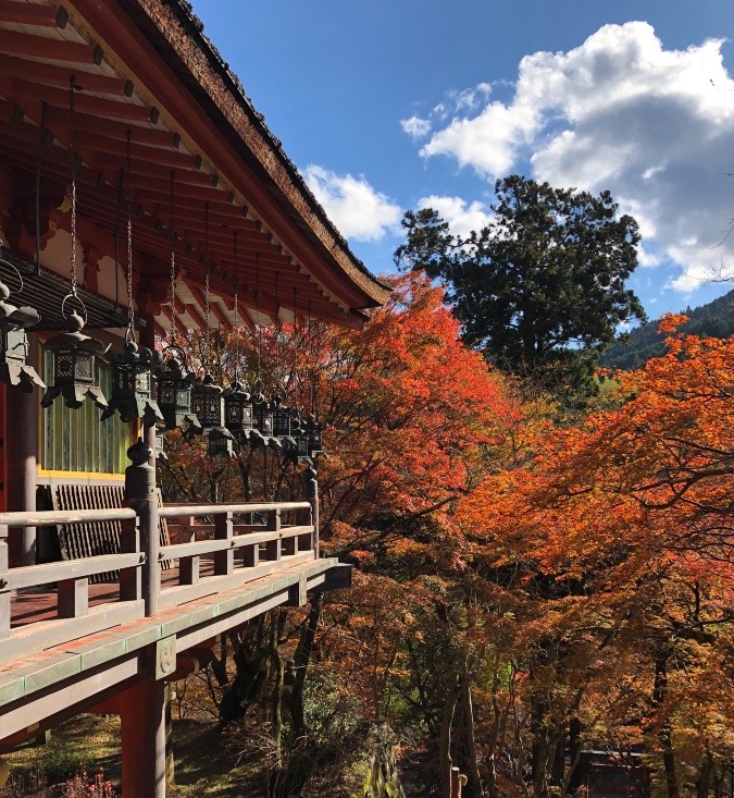 おすすめ👌紅葉スポット🍁