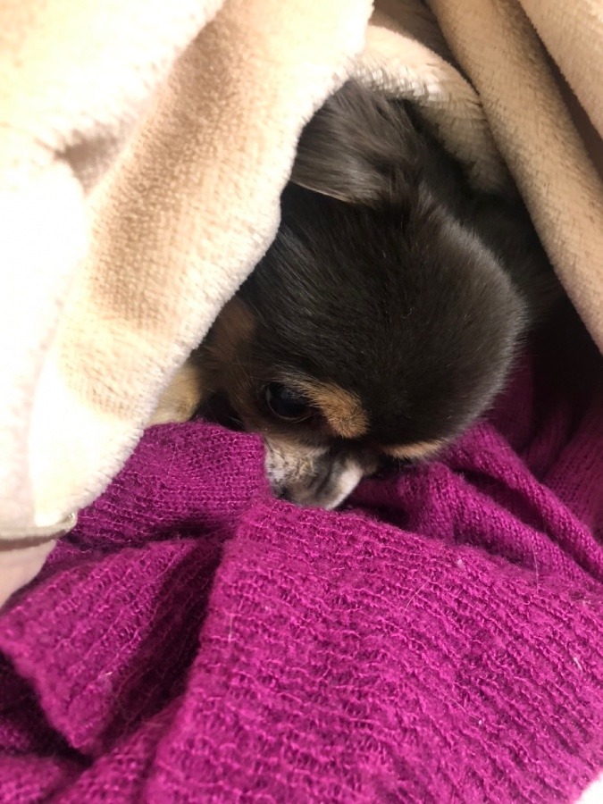 あたま丸っっ！