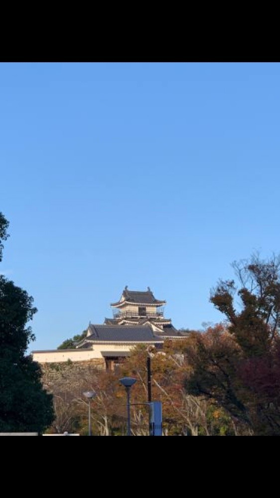 浜松城