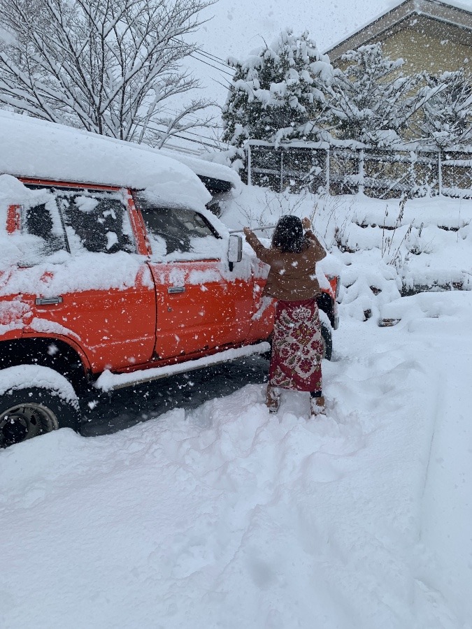 1日で雪まみれ❄️