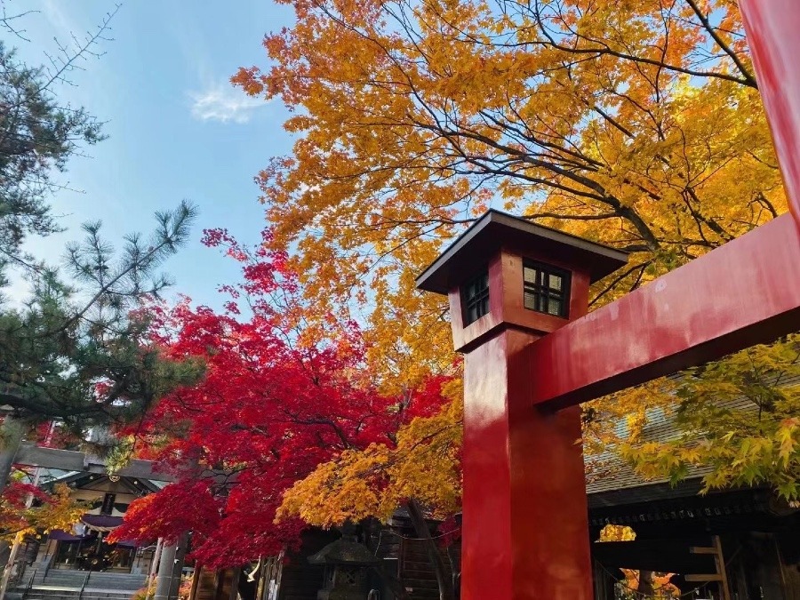 北海道的秋色