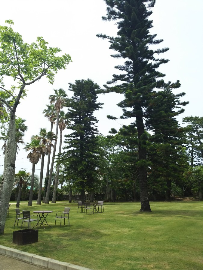 県立青島亜熱帯植物園