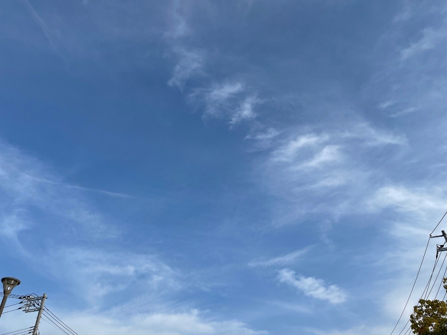 今日の空😊