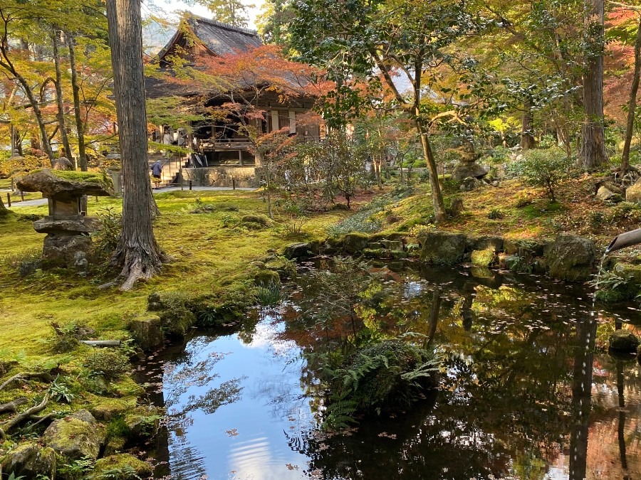 三千院　　京都（大原）　　　2021年11月16日