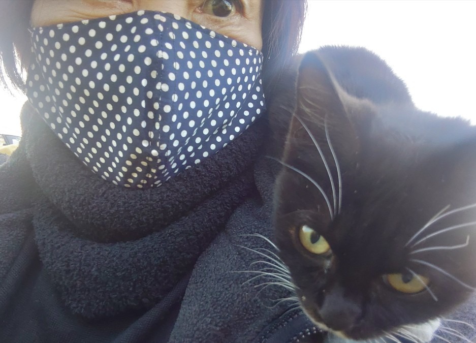 加唐島の猫