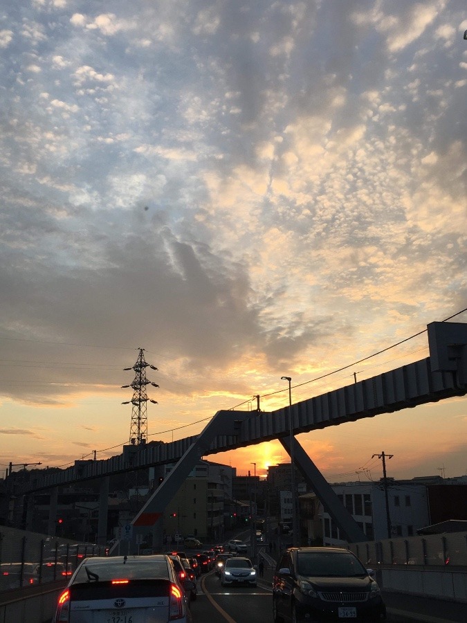 今日の夕陽