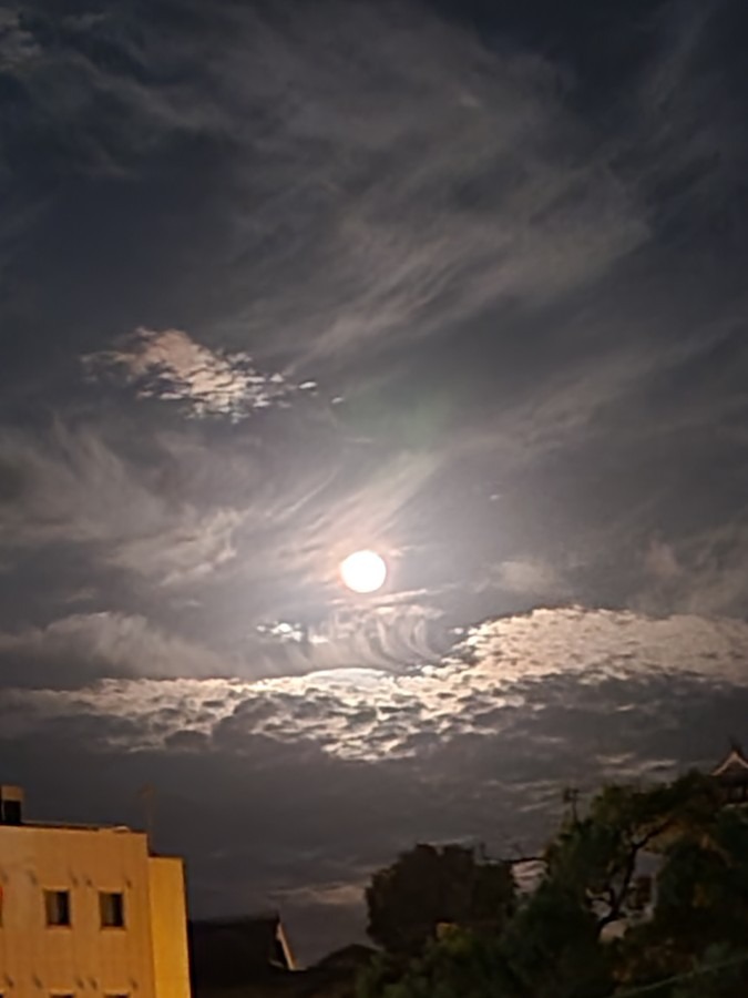 13夜🌃です