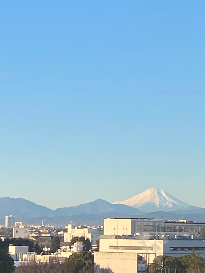 富士山を撮るのが日課