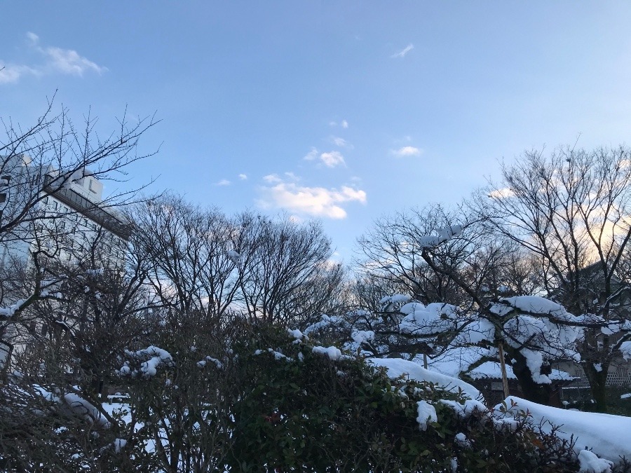 雪❄️の晴れ間に✨