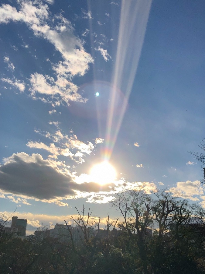 今日の空