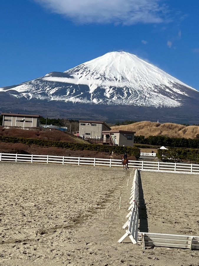 全日本馬場馬術大会